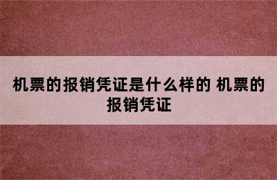 机票的报销凭证是什么样的 机票的报销凭证